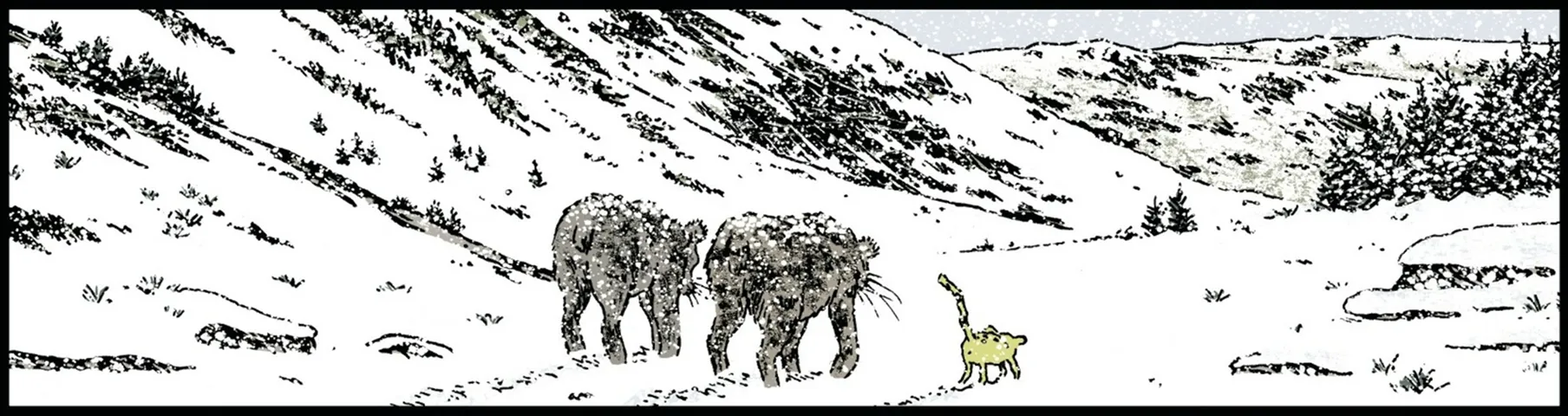 Deux tigres et Sabre qui marchent ensemble